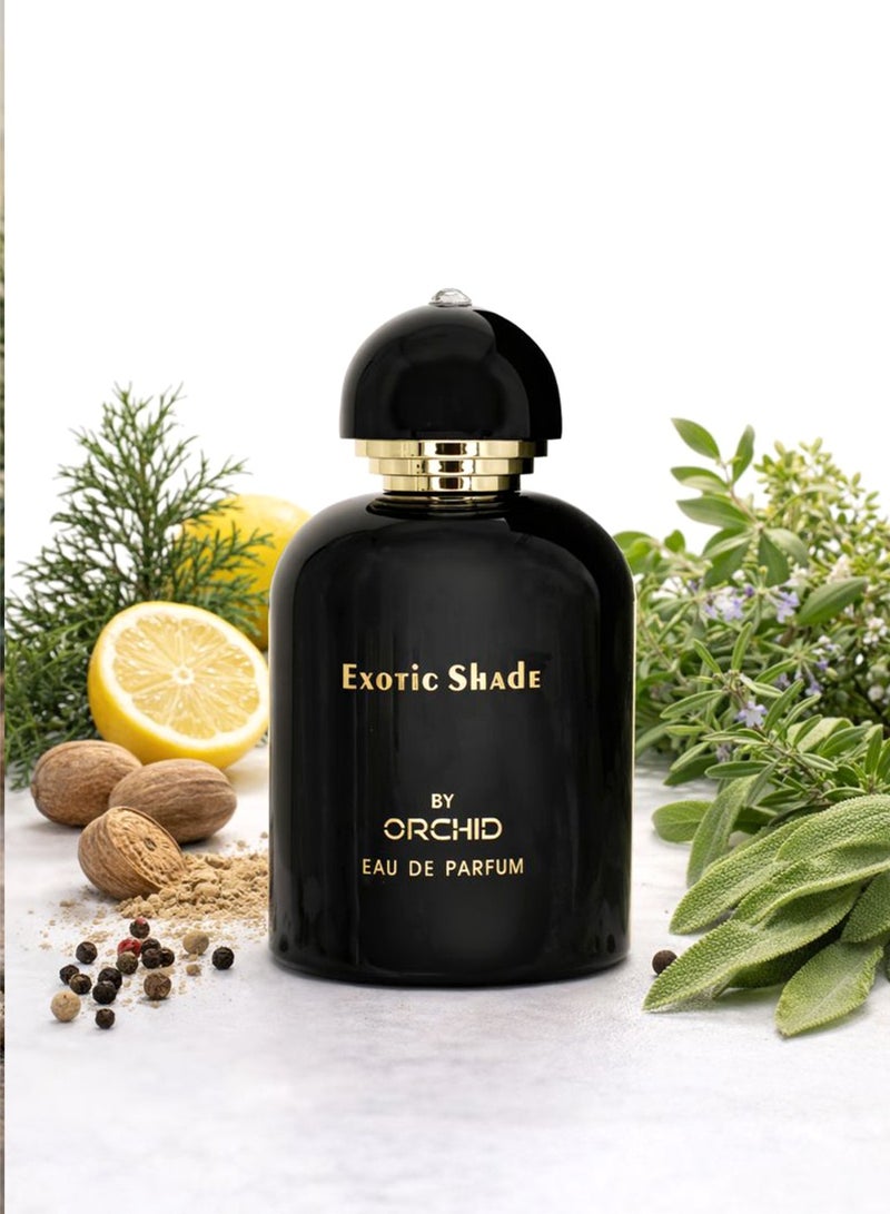 Orchid Exotic Shade Pour Homme Eau de Parfum 100ml for Men | Long Lasting Fresh Spicy Woody Perfume with Cypress, Lemon & Nutmeg Notes | Rosemary, Pepper & Musk Base - Image 1